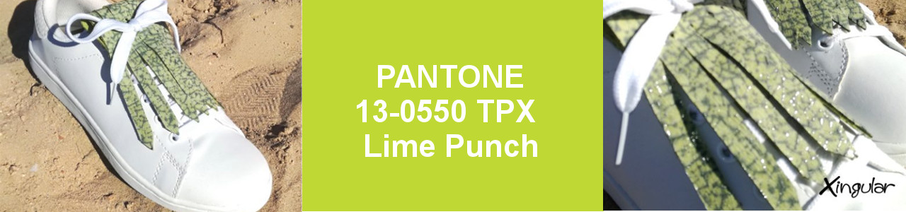 Colores para la Primavera 12-Lime-Punch-SS-2018