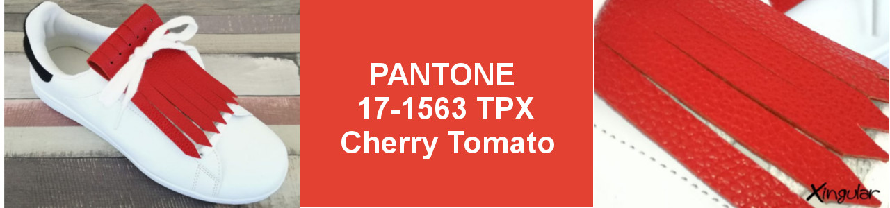 Colores para la Primavera 2-Cherry-Tomato-SS-2018