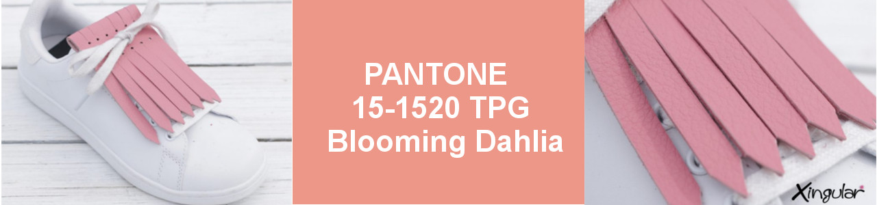 Colores para la Primavera 6-Blooming-Dahlia-SS-2018