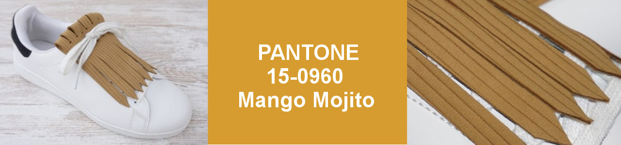 PANTONE PRIMAVERA VERANO 2019-Mango Mojito