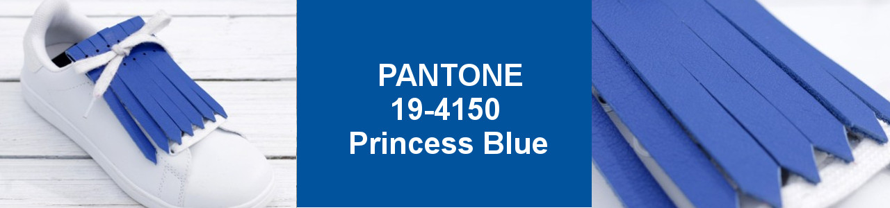 PANTONE PRIMAVERA VERANO 2019-Princess Blue